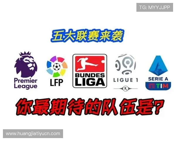 五大联赛最新积分榜分析帮助球迷了解球队排名及未来赛季走势预测